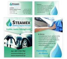 Steamex Mobilna Myjnia Parowa