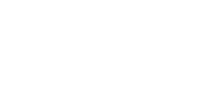 Bus Polska Anglia