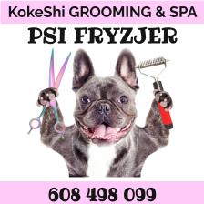 KokeShi Beauty Grooming & SPA Groomer Jarosław Psi Fryzjer Strzyżenie Psów Pielęgnacja Kotów Darmowe konsultacje i porady