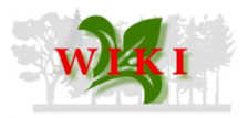 P.H.U. Maria Kowal WIKI