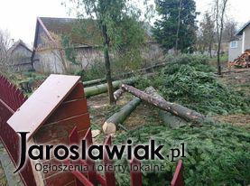 Jaroslaw rębak usługi rębakiem wycinka drzew TRAWKA