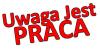 Jest Praca
