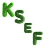 Przygotuj swoją firmę na KSeF z IT-Connection – Z nami to proste!