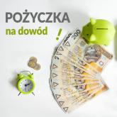 możliwość rozwiązania swoich problemów finansowych i realizacji swoich projektów
