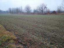 Działka 42,78 ar blisko centrum Jarosławia, za Sanem