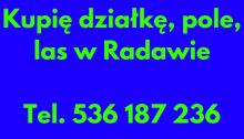 Kupię działkę, pole, las w Radawie