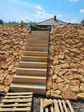 Dzikówka do ogrodu ogrodowa na skarpy murki elewacje ogrodzenia