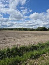 Działka Budowlana Piwoda 12,98 ar