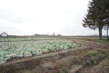 Działka – idealna pod budowę, wniosek o WZ złożony - SOŚNICA