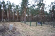 Działka rekreacyjna - CZERWONA WOLA - 29,27 ARA