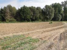 Działki budowlane Wólka Pełkińska