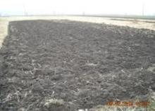 Działka budowlano-rolna w gminie Medyka