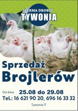 Kurczaki Brojlery Kury