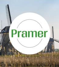 Produkcja - pakowanie ryb (Nl, Urk) - praca w Holandii