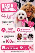 Psi fryzjer Gromer Basia Jarosław Gottfrieda 1