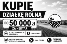 Kupie pole rolne
