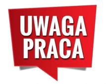 Praca Zdalna - Obsługa Klienta
