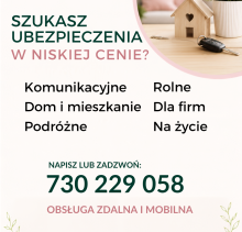 Ubezpieczenia w niskiej cenie.