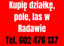 Kupie Dzialke. Pole. Las w Radawie
