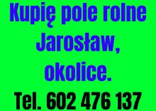 Kupie pole rolne Jaroslaw lub okolice