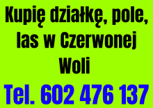 Kupie Pole dzialke las w czerwonej woli