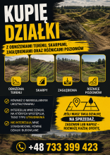 Kupię działki
