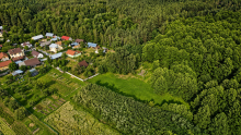 Drewniany domek z dużą działką obok lasu