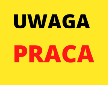 Zatrudnię mechanika samochodowego