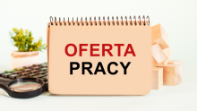 Produkcja serów w Holandii bez znajomości jęz. ang. - 17 €/h brutto