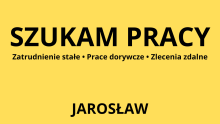 Szukam pracy stałej, dorywczej lub zdalnej