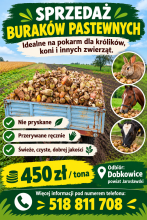 Sprzedam Buraki pastewne