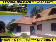 TEDS Grzegorz Wojtkowski