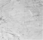 Płytki marmurowe CARRARA BIANCO GIOIA 45,7x45,7x1 polerowane